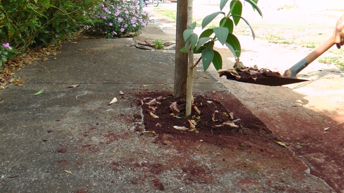 adicionar mais terra 