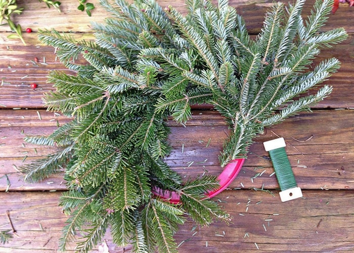 amarrando quase todas as ramas no aro