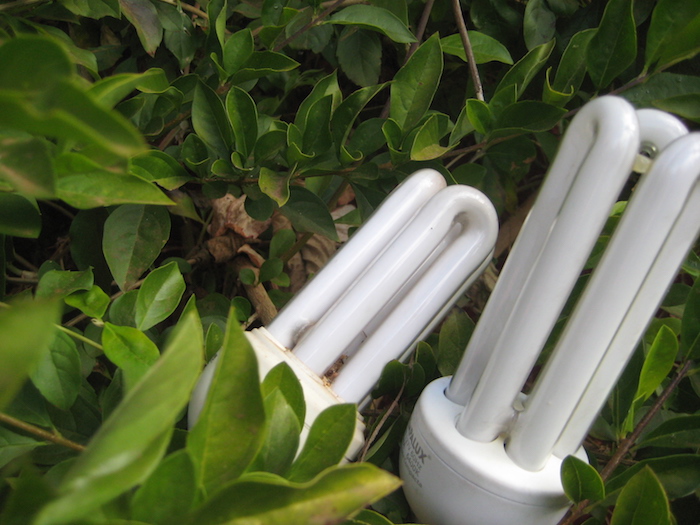 10 Dicas Para Economizar Energia e Cuidar do Meio Ambiente