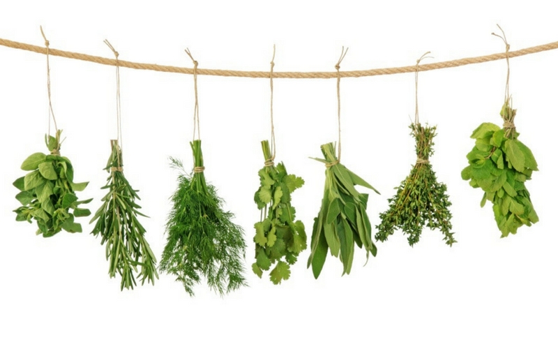 Ervas Aromáticas que você pode plantar em casa