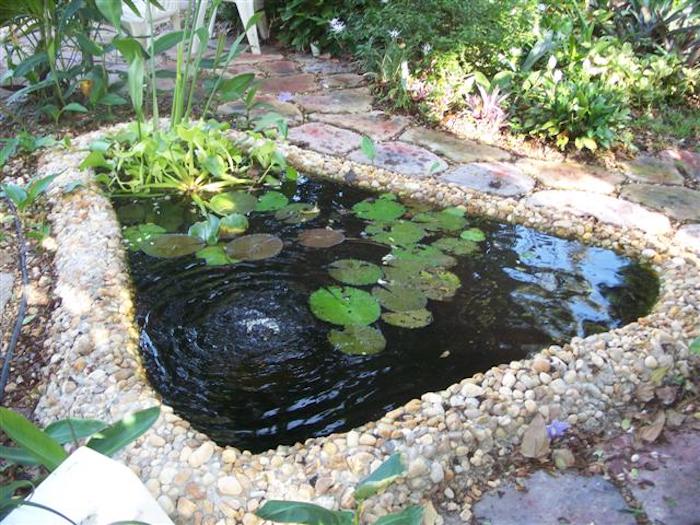 Como se proteger dos mosquitos – DIY – Lagos e jardins Aquáticos lago Caseiro DIY