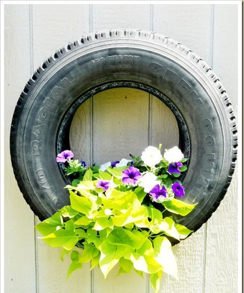 pneu velho maravilhoso com sua planta