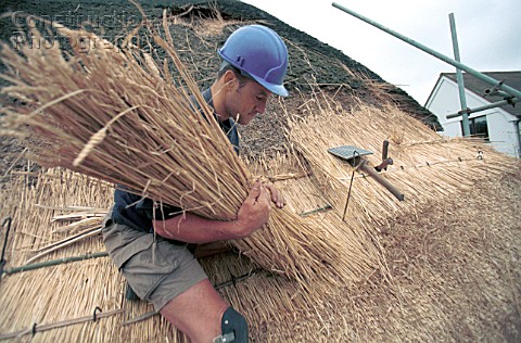 usando o sabe para construir o telhado