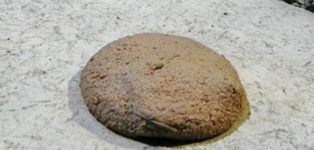 bolinha de barro aplastada no chão 