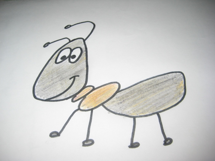 7 Maneiras de livrar das formigas sem usar pesticidas