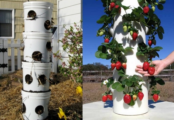 Canteiros verticais para Morangos – 6 ideias Geniais canteiros verticais para plantar morango