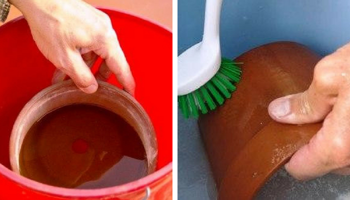 submergindo e esfregando pot de barro