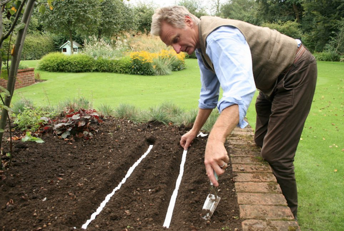 Como fazer sementes em fita – fileiras de sementes