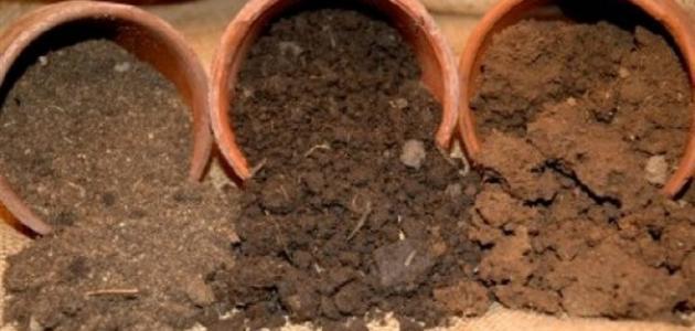 Como melhorar o solo da horta ou jardim