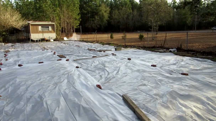 polarização da terra