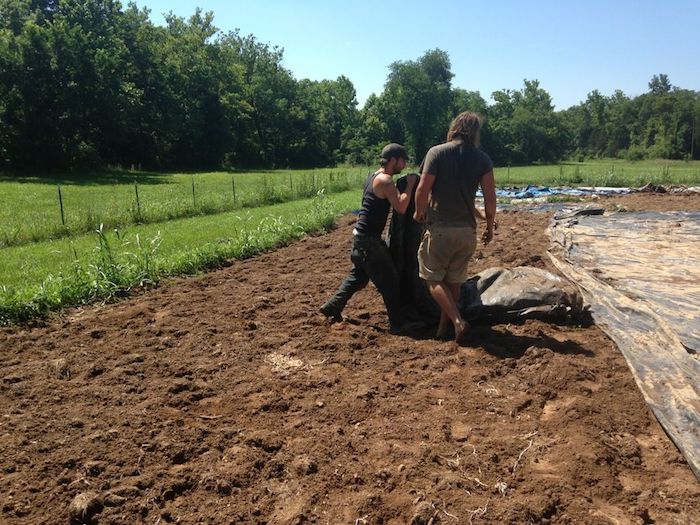 solarização do solo