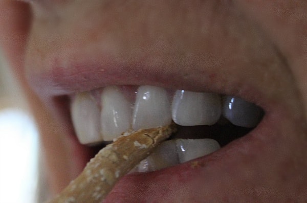 raspando pau de Miswak