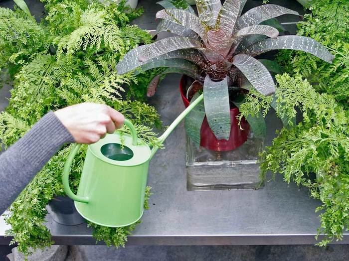 5 Maneiras de regar as plantas no automático fácil fácil !!