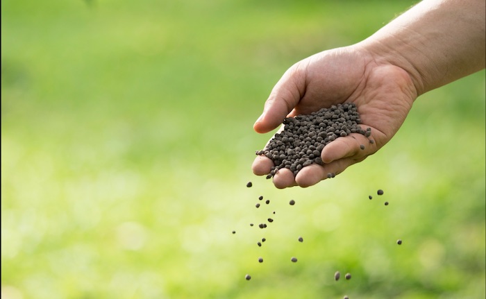 Fertilizante de Nitrogênio orgânico fertilizante nitrogênio caseiro