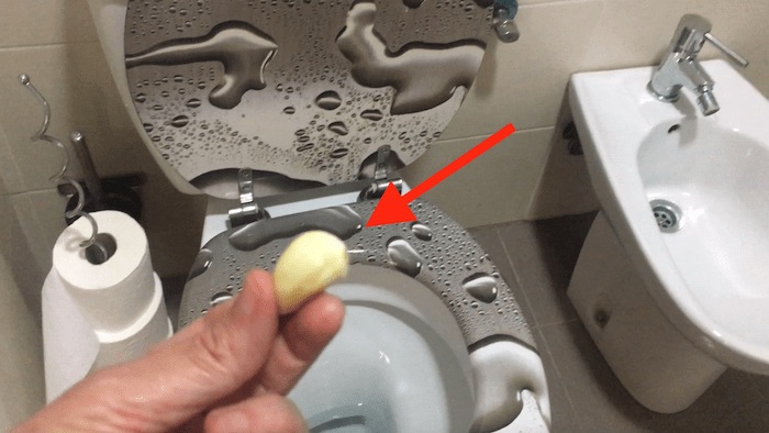 Coloque 1 alho no vaso sanitário e no dia seguinte vai ficar em choque