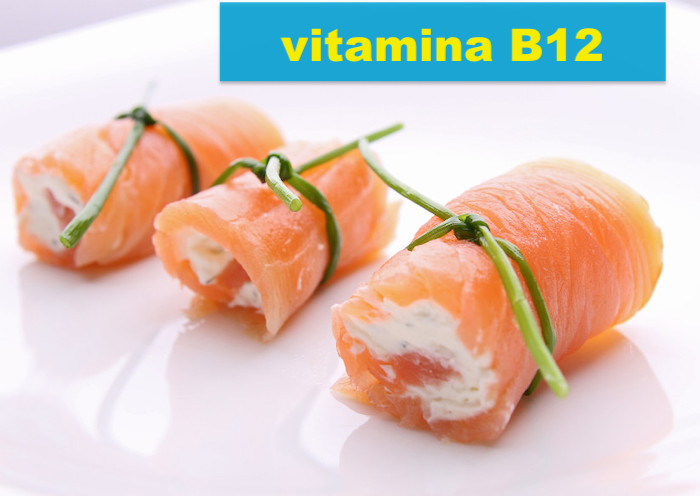 Top 10 alimentos com vitamina B12 enralado de salmao com cotagge