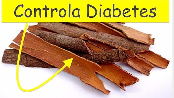 TOP 10 principais alimentos para o controle da DIABETES pau de canela