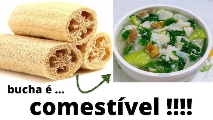 9 Maneiras de usar a bucha vegetal que você não sabia bucha vegetal