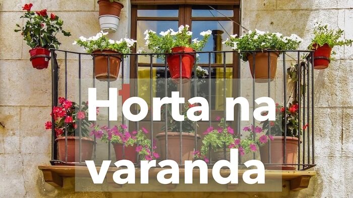 O Que Plantar no TERRAÇO, VARANDA OU TELHADO PLANTAS NA VARANDA
