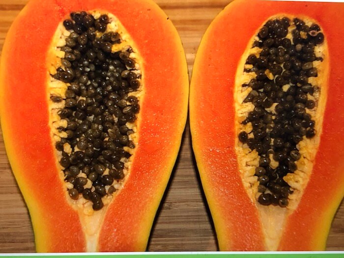 Benefícios em comer SEMENTES DE MAMÃO comer semente de mamão