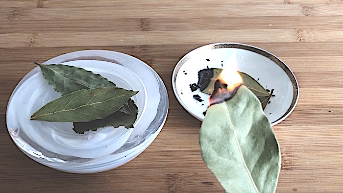 Queima uma folha de louro e veja o que pode acontecer no seu corpo folhas de louro em chamas