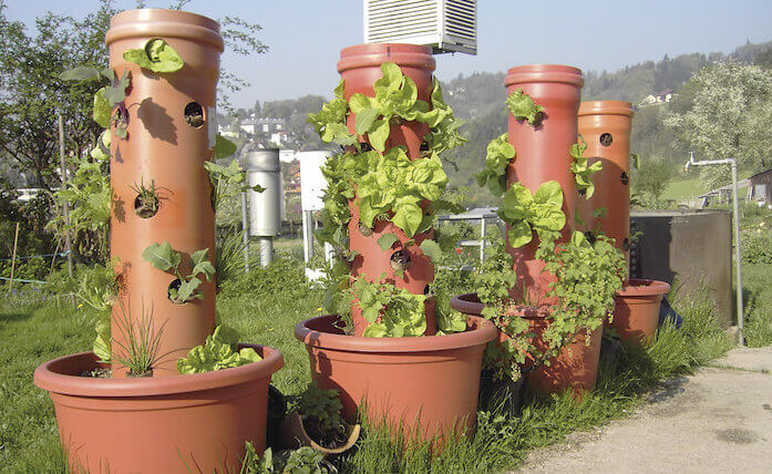 Canteiro Vertical Orgânico – DIY- Tubo PVC