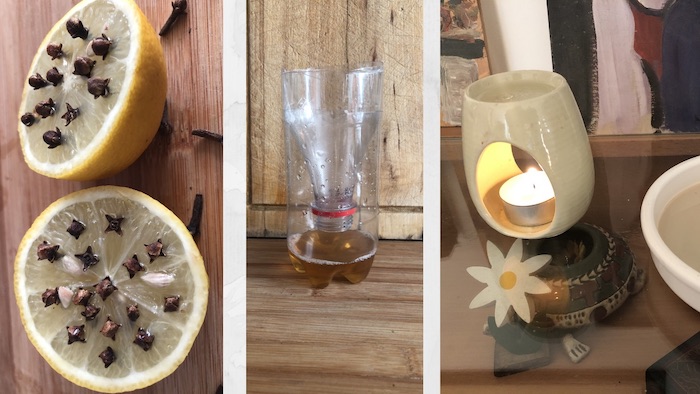 armadilhas distintas para mosquito