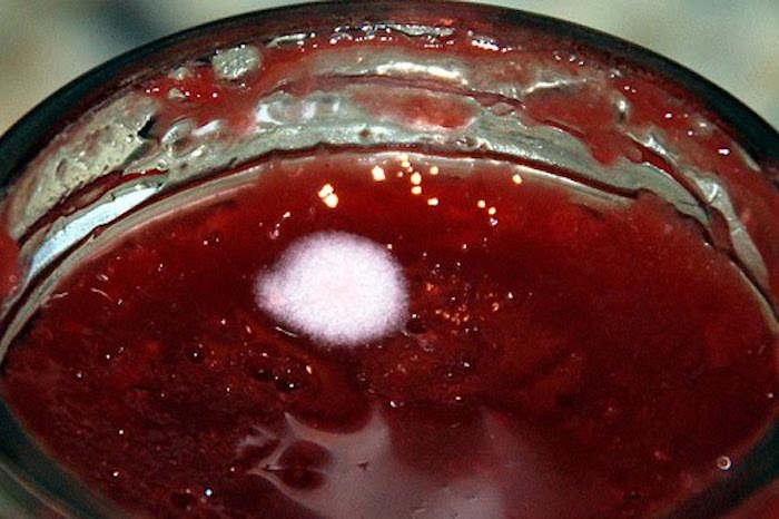 Pode remover o mofo de um alimento e comer o resto? geleia com mofo na superficie