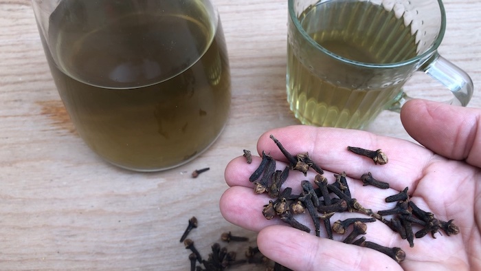 Cravo da índia como antidepressivo, anti-séptico e analgésico || INFUSÃO NATURAL chá cravo da india