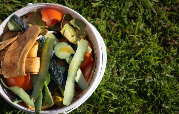 Secar Cascas de Frutas e Legumes no Sol Perde Nutrientes? Cascas de frutas