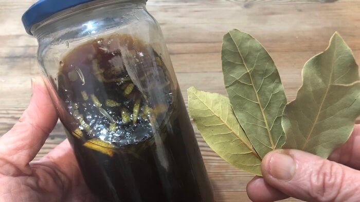 Limpe seus pulmões e Pare de tossir #xarope caseiro xarope folhas de louro