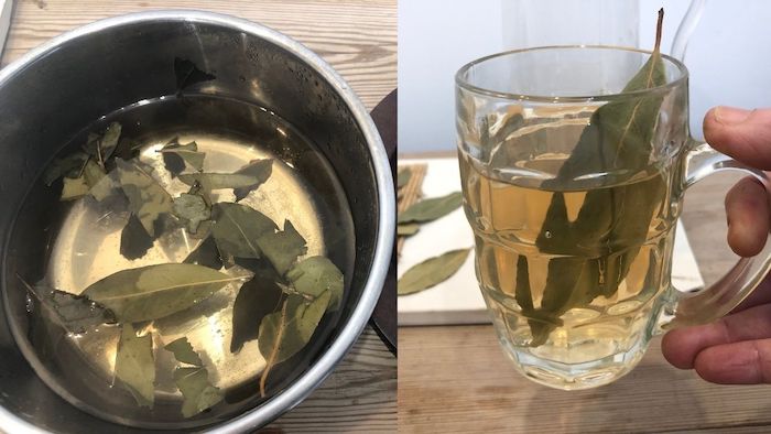 Ferva as folhas de louro e beba essa água cha folhas pelouro