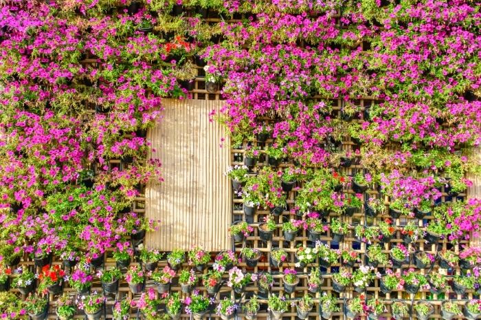 Jardim Vertical: Como fazer?