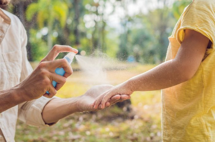 DIY: Repelentes de Mosquitos / Métodos naturais de Repelente de mosquito DIY: Repelentes de Mosquitos