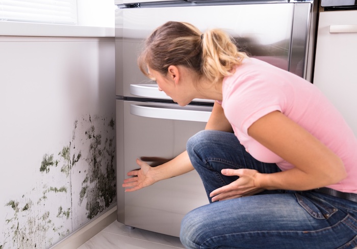 8 causas comuns de mofo em sua casa (e dicas para prevenção!) mofo na parede