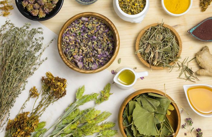 7 Plantas medicinais para cuidar da pele