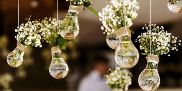 Como fazer lindos mini vaso com lâmpadas usadas – DIY mini vasos lampada