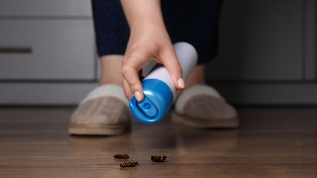 Guia completo: como eliminar pragas de forma profissional em sua casa eliminar pragas