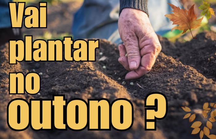 O que plantar no OUTONO – Brasil
